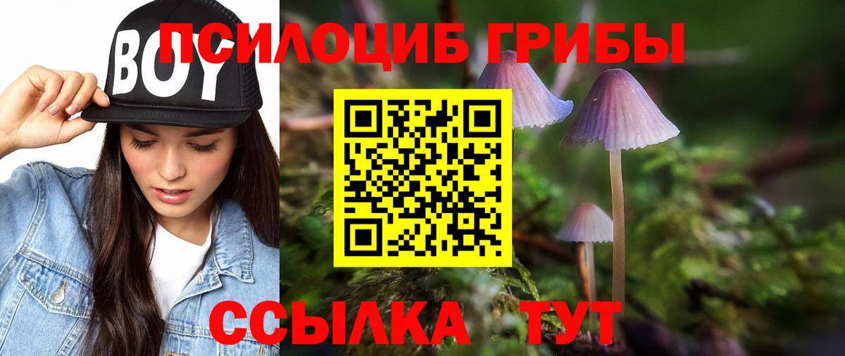 Псилоцибиновые грибы Magic Shrooms Сыктывкар